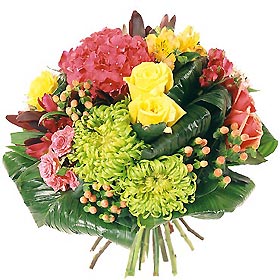 http://nsm01.casimages.com/img/2008/07/16//080716094452131522278245.jpg