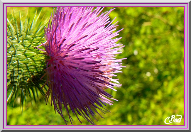 Image h�berg�e par Casimages.com : votre h�bergeur d images simple et gratuit