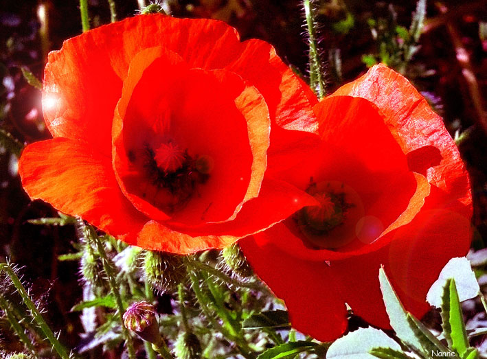 Image hébergée par Casimages.com : votre hébergeur d images simple et gratuit