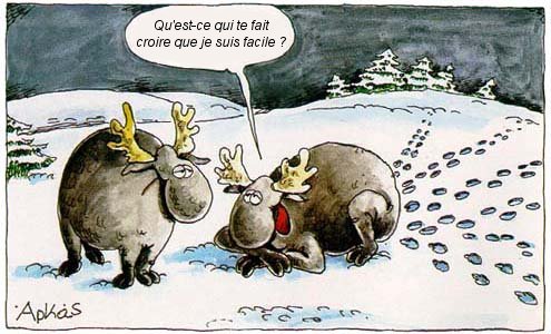 voir l'image en taille réelle