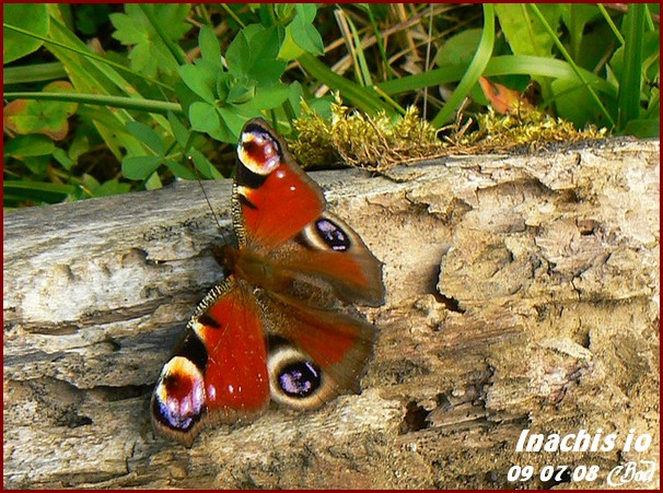 Image h�berg�e par Casimages.com : votre h�bergeur d images simple et gratuit