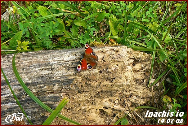 Image h�berg�e par Casimages.com : votre h�bergeur d images simple et gratuit