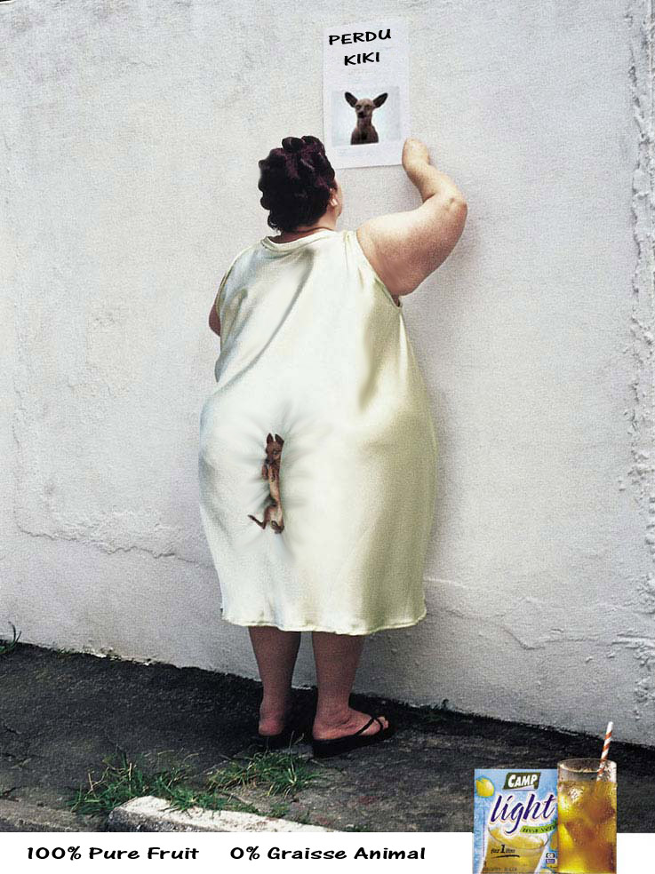 voir l'image en taille réelle