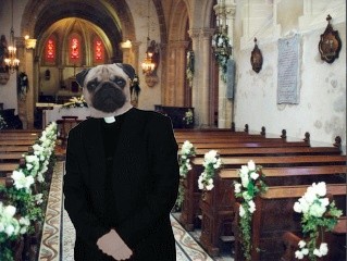 Image hébergée par Casimages.com : votre hébergeur d images simple et gratuit
