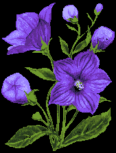 Image hébergée par Casimages.com : votre hébergeur d images simple et gratuit