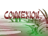 Connexion
