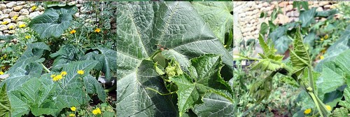 Image hébergée par Casimages.com : votre hébergeur d images simple et gratuit