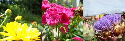 Image hébergée par Casimages.com : votre hébergeur d images simple et gratuit