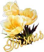 Cliquez pour afficher l'image en taille r�elle