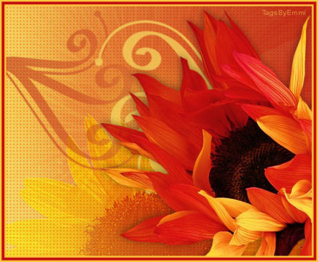 Image hébergée par Casimages.com : votre hébergeur d images simple et gratuit