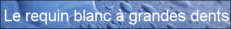 Image h�berg�e par Casimages.com : votre h�bergeur d images simple et gratuit