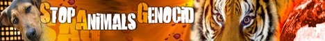 Stop Animals Genocid