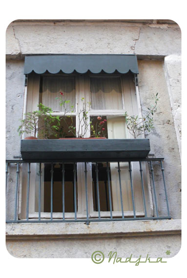 Image hébergée par Casimages.com : votre hébergeur d images simple et gratuit