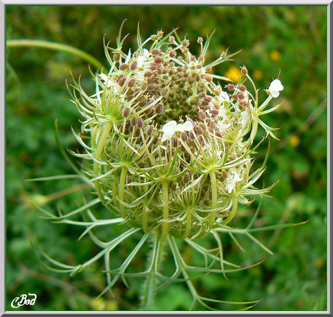 Image h�berg�e par Casimages.com : votre h�bergeur d images simple et gratuit