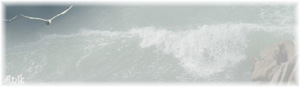 Image hébergée par Casimages.com : votre hébergeur d images simple et gratuit