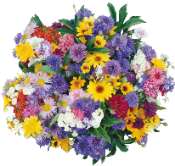 tubes fleurs