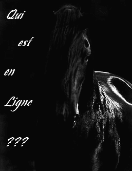 Qui est en ligne ?