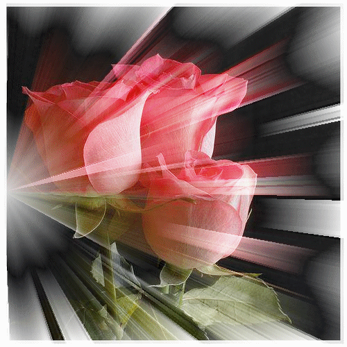 Image hébergée par Casimages.com : votre hébergeur d images simple et gratuit