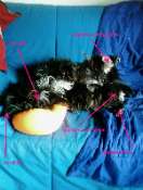 Hebergement gratuit d image et photo