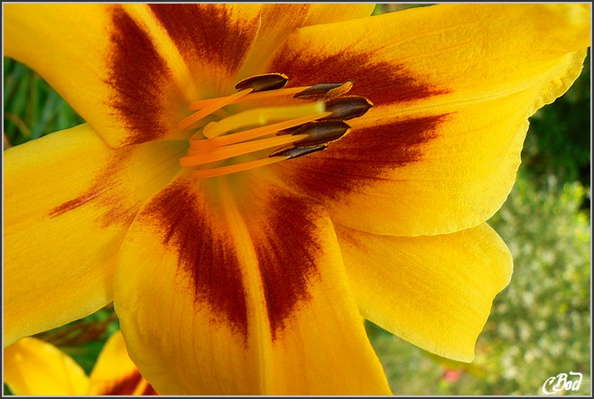 Image h�berg�e par Casimages.com : votre h�bergeur d images simple et gratuit