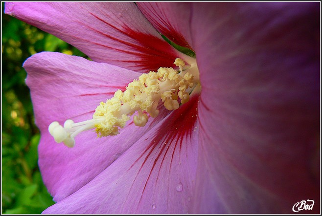 Image h�berg�e par Casimages.com : votre h�bergeur d images simple et gratuit