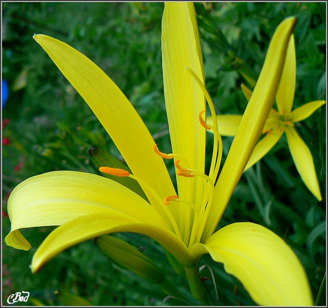 Image h�berg�e par Casimages.com : votre h�bergeur d images simple et gratuit