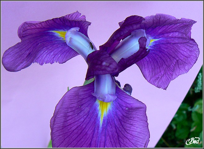 Image h�berg�e par Casimages.com : votre h�bergeur d images simple et gratuit