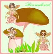 Cliquez pour afficher l'image en taille r�elle