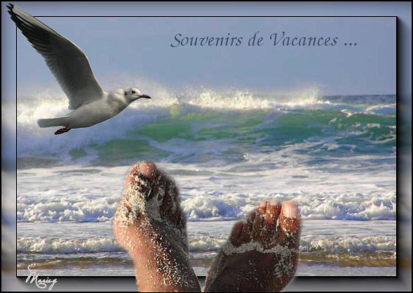 Image hébergée par Casimages.com : votre hébergeur d images simple et gratuit