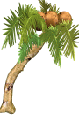 Image hébergée par Casimages.com : votre hébergeur d images simple et gratuit