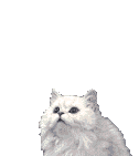 Image h�berg�e par Casimages.com : votre h�bergeur d images simple et gratuit