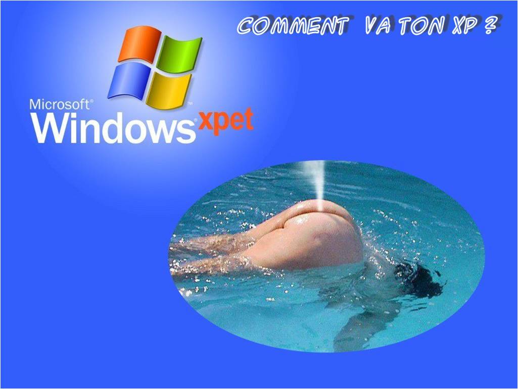 Image hébergée par Casimages.com : votre hébergeur d images simple et gratuit