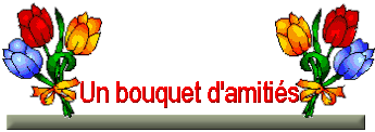 Image hébergée par Casimages.com : votre hébergeur d images simple et gratuit