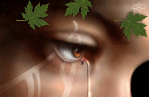 Image hébergée par Casimages.com : votre hébergeur d images simple et gratuit