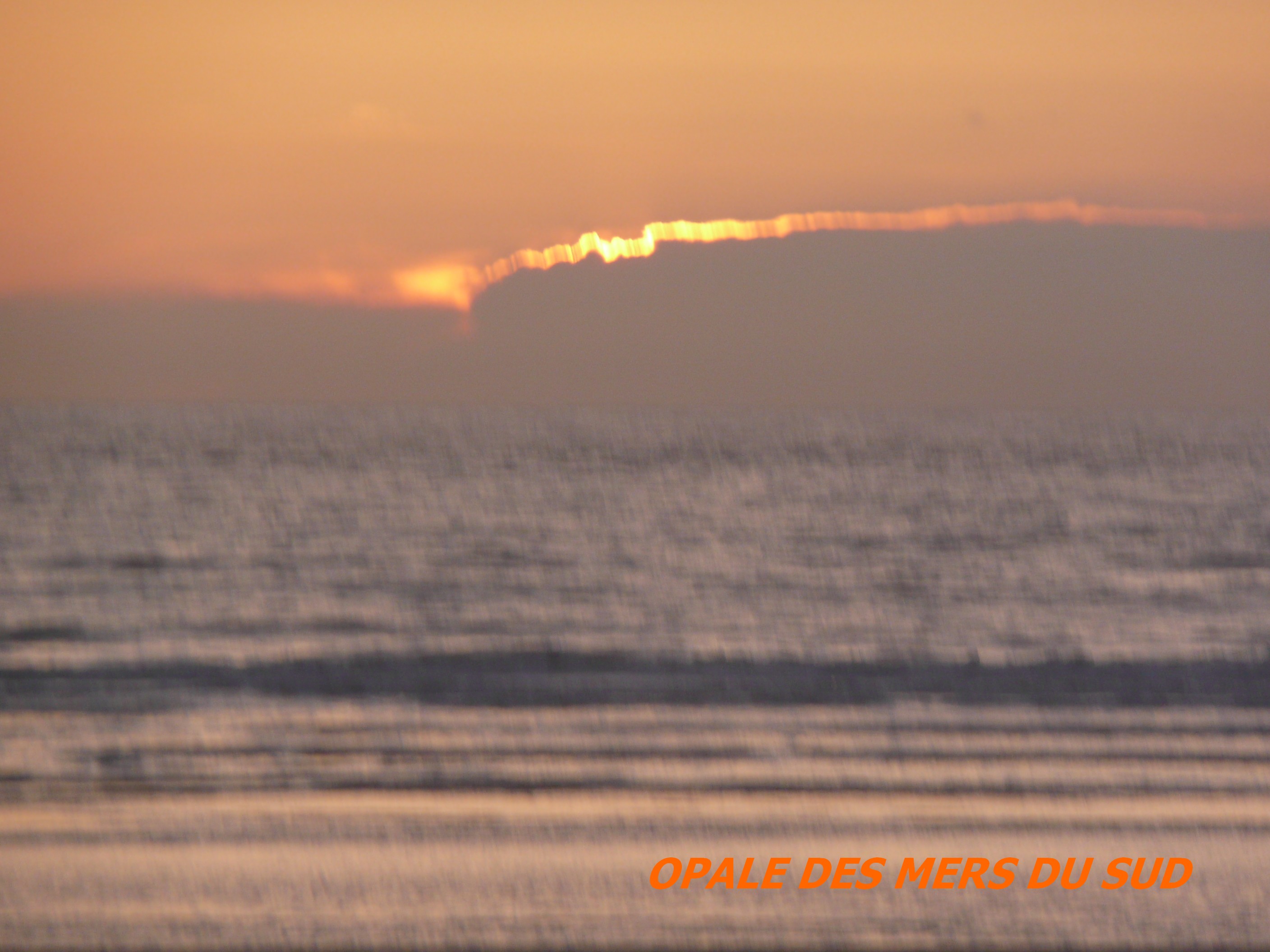 voir l'image en taille réelle