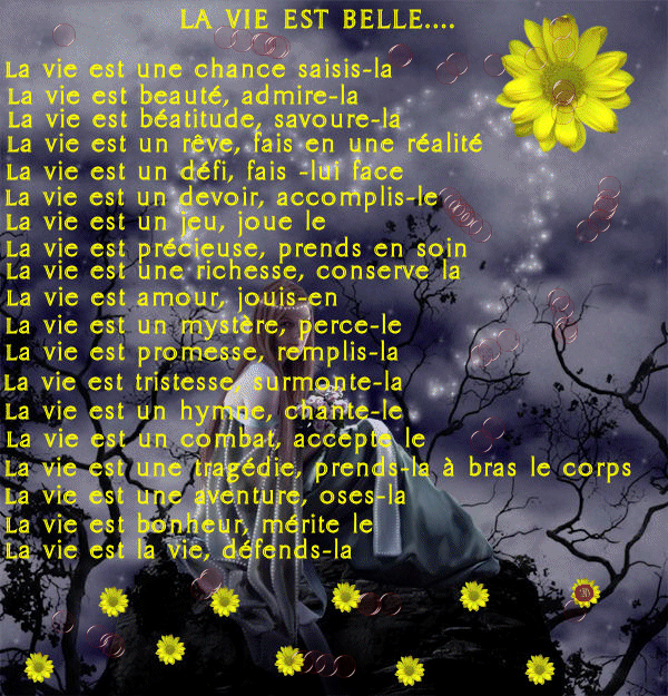 Image hébergée par Casimages.com : votre hébergeur d images simple et gratuit