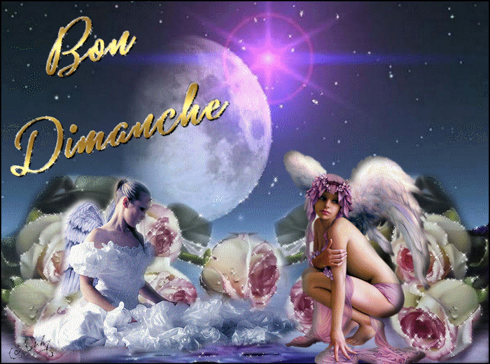 Image h�berg�e par Casimages.com : votre h�bergeur d images simple et gratuit