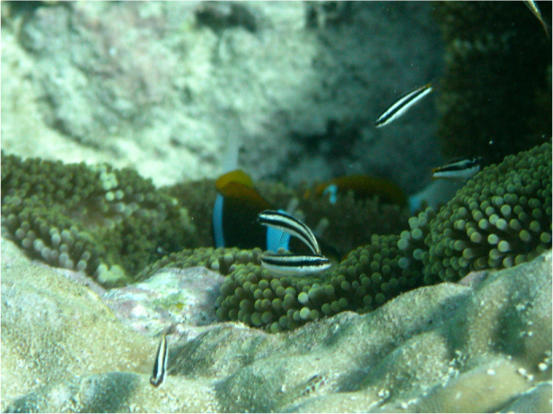 Image hébergée par Casimages.com : votre hébergeur d images simple et gratuit