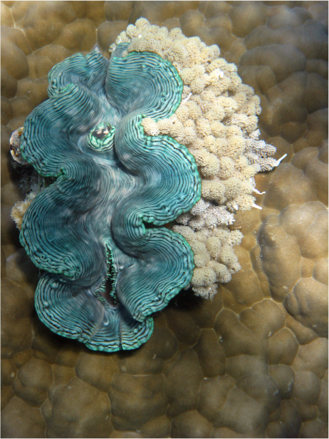 Image hébergée par Casimages.com : votre hébergeur d images simple et gratuit