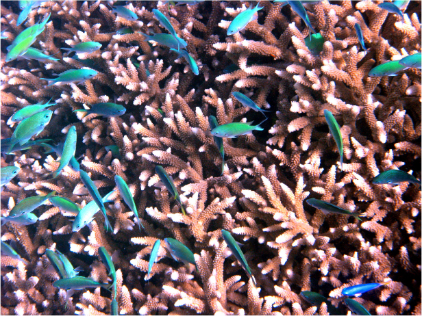 Image hébergée par Casimages.com : votre hébergeur d images simple et gratuit