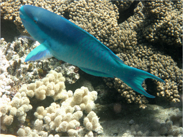 Image hébergée par Casimages.com : votre hébergeur d images simple et gratuit