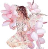 Cliquez pour afficher l'image en taille r�elle