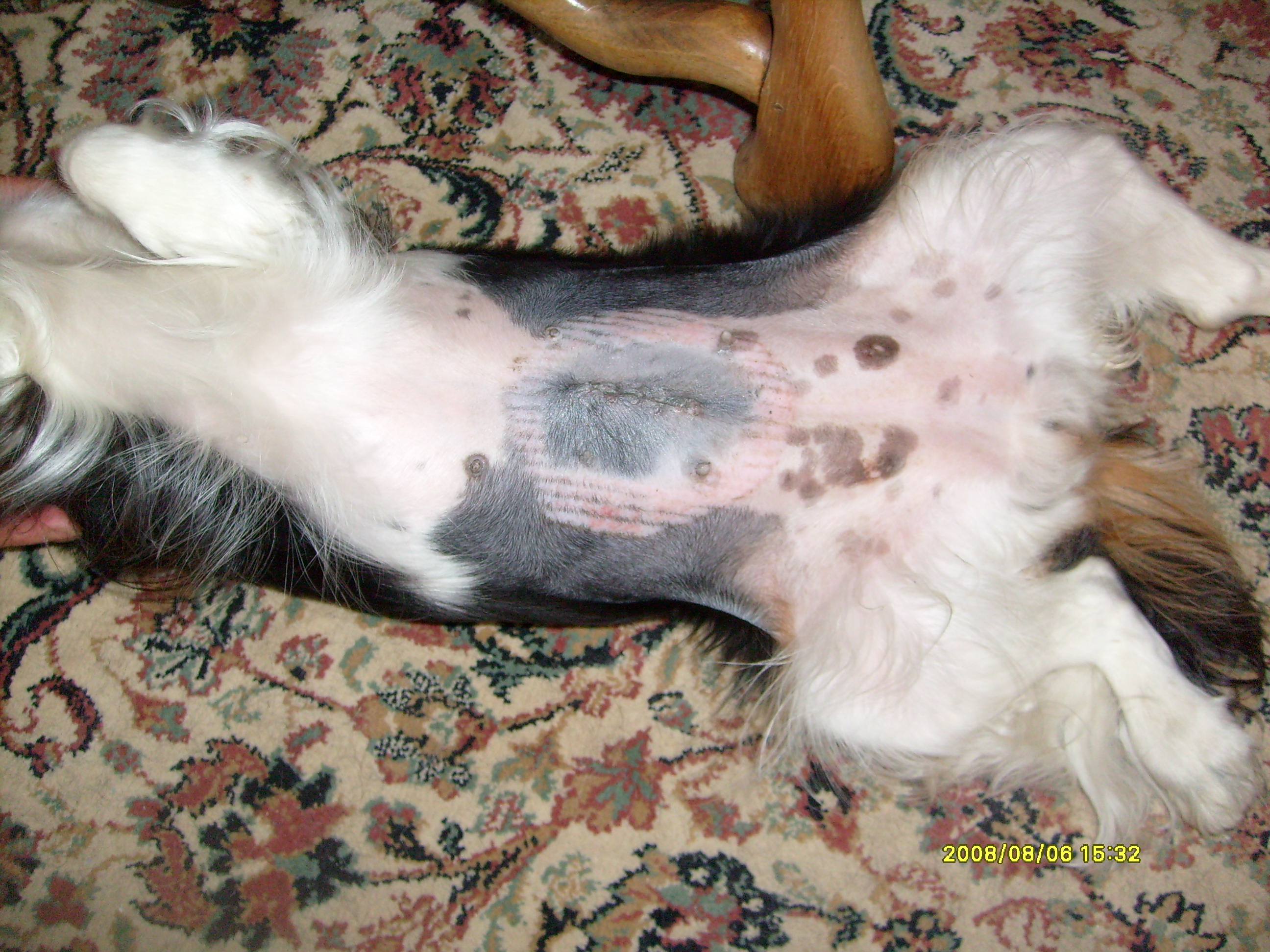 Image h�berg�e par Casimages.com : votre h�bergeur d images simple et gratuit