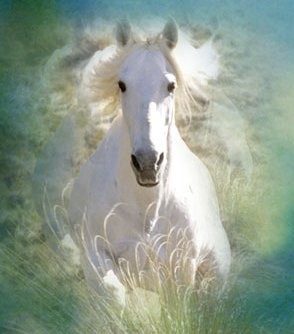 Image h&eacute;berg&eacute;e par Casimages.com : votre h&eacute;bergeur d images simple et gratuit