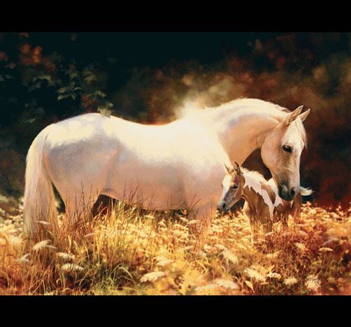 Image hébergée par Casimages.com : votre hébergeur d images simple et gratuit