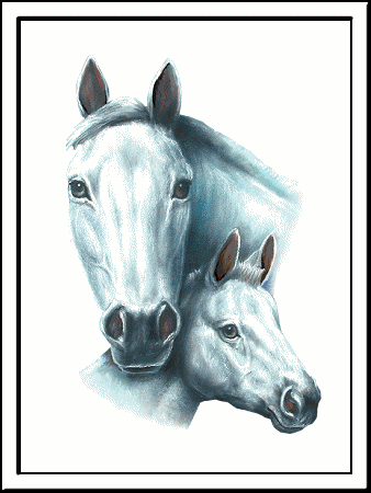 Image h&eacute;berg&eacute;e par Casimages.com : votre h&eacute;bergeur d images simple et gratuit