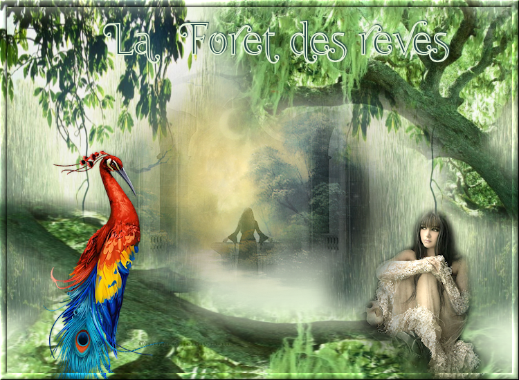 Image h�berg�e par Casimages.com : votre h�bergeur d images simple et gratuit