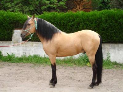 Image hébergée par Casimages.com : votre hébergeur d images simple et gratuit