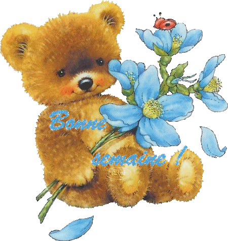 Image hébergée par Casimages.com : votre hébergeur d images simple et gratuit