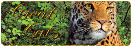 Greatscats